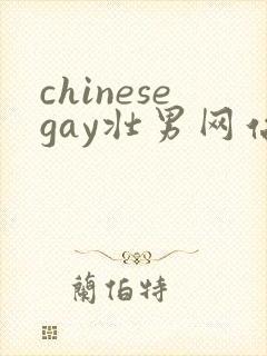 chinesegay壮男网站gvman封面