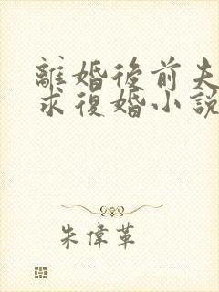 离婚后前夫哭着求复婚小说阅读全部