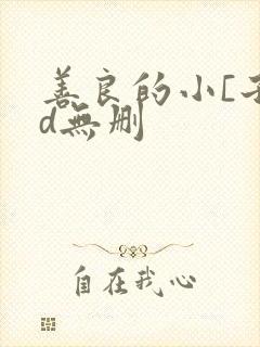 善良的小[子hd无删封面
