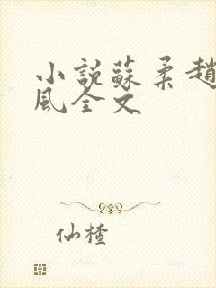 小说苏柔赵刚林风全文