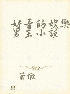 好看的娱乐圈双男主小说