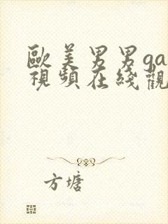 欧美男男gay视频在线观看