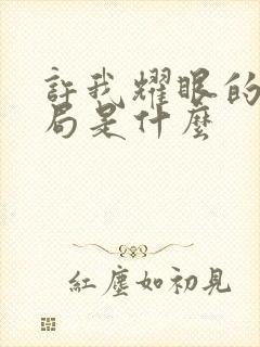 许我耀眼的大结局是什么