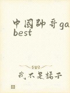 中国帅哥gay best