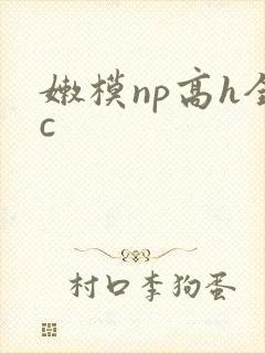 嫩模np高h全c