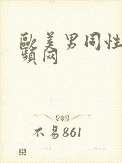 欧美男同性恋视频网