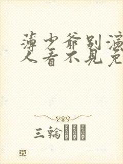 薄少爷别演了夫人看不见免费观看