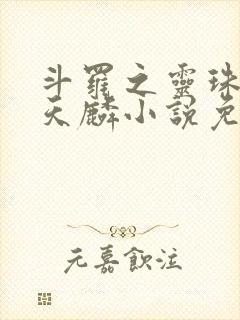 斗罗之灵珠神剑天麟小说免费全文在线