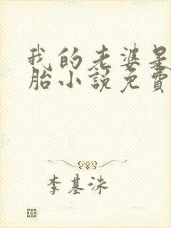 我的老婆是双胞胎小说免费阅读全本封面