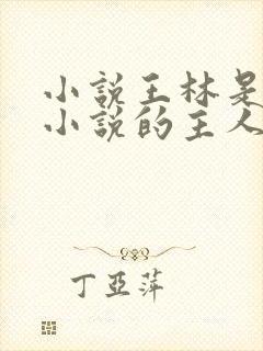 小说王林是哪本小说的主人公