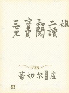三宝和二姐小说免费阅读封面