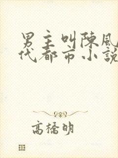 男主叫陈风的现代都市小说