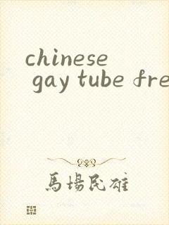 chinese gay tube free