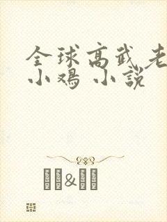 全球高武老鹰吃小鸡 小说