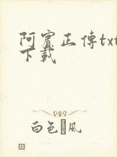 阿宾正传txt下载封面