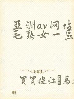 亚洲av网站浓毛熟女一区