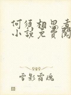 何须相思煮余年小说免费阅读