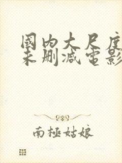 国内大尺度做爰未删减电影