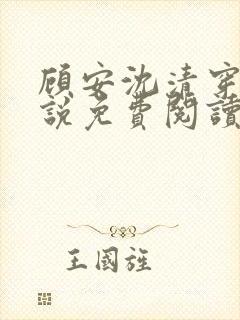 顾安沈清穿越小说免费阅读