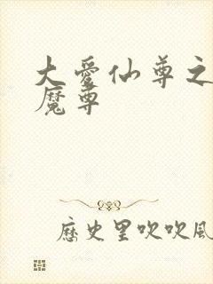 大爱仙尊之邪淫魔尊封面