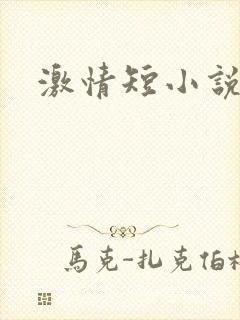 激情短小说封面