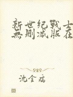 新世纪战士h版无删减版在线播放封面