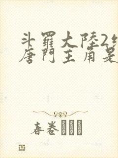 斗罗大陆2绝世唐门主角是谁