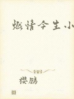 燃情今生小说