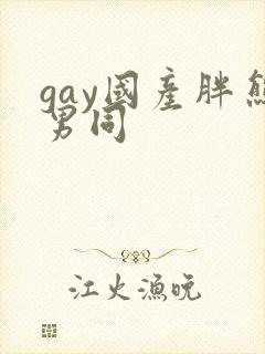 gay国产胖熊男同