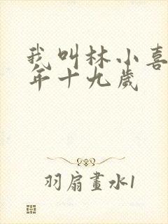 我叫林小喜 今年十九岁