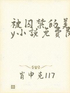 被囚禁的美人by小说免费阅读