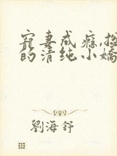 宠妻成瘾,总裁的清纯小娇妻