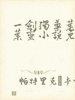 一剑独尊叶玄,叶灵小说免费阅读无弹窗