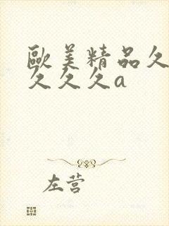 欧美精品久久久久久久a