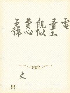 免费观看电视剧锦心似玉封面