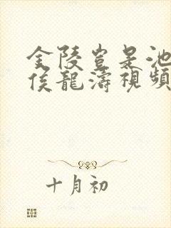 金陵岂是池中物侯龙涛视频封面