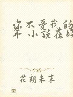 你不爱我的那些年 小说在线阅读