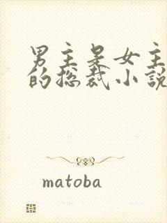 男主是女主小叔的总裁小说封面