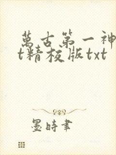万古第一神txt精校版txt