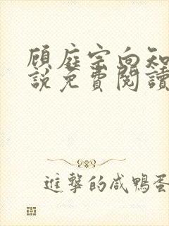 顾庭宗向知晚小说免费阅读最新章节