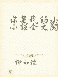 你是我的小确幸小说全文阅读封面