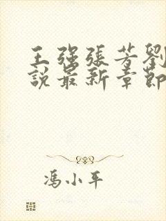 王强张芳刘芳小说最新章节更新时间封面