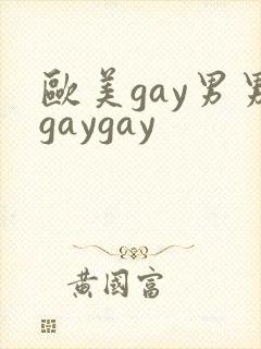 欧美gay男男gaygay封面