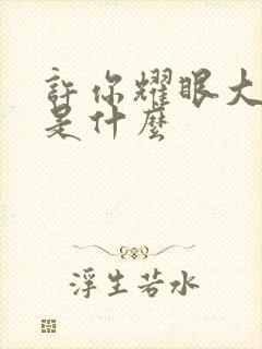 许你耀眼大结局是什么封面