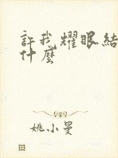 许我耀眼结局是什么封面