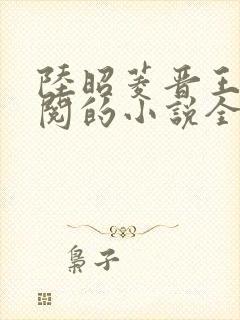 陆昭菱晋王周时阅的小说全文免费阅