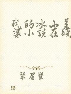我的冰山美女老婆小说在线阅读全文