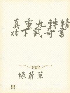 真灵九转精校txt下载奇书网