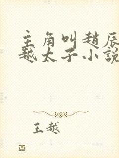 主角叫赵辰的穿越太子小说封面