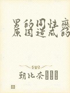 男的同性恋什么原因造成的